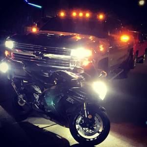 Meet your Posher, Dylan